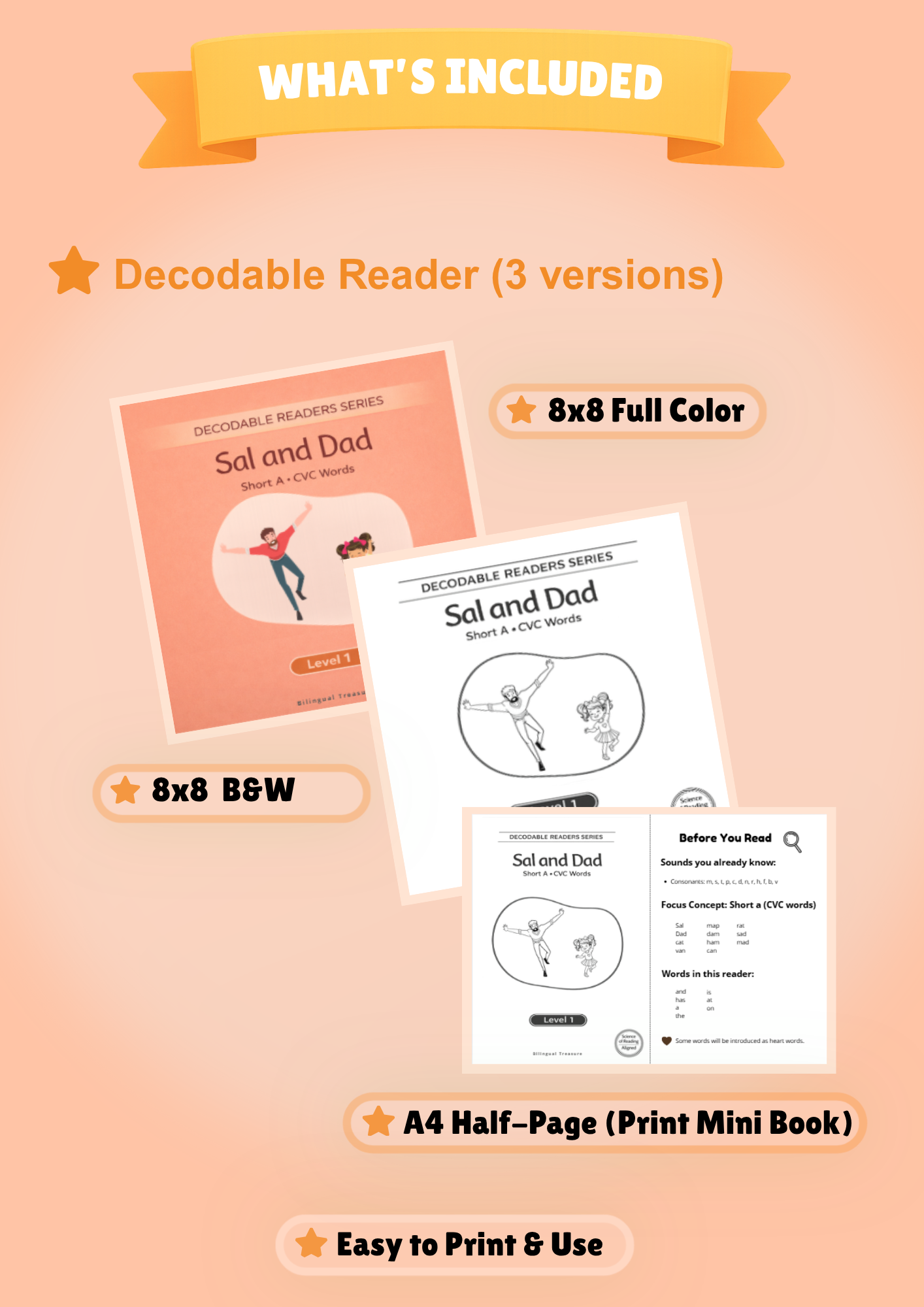 Decodable Reader Short A | CVC Words Phonics Story | K - 1 | Alineado con la Ciencia de la Lectura
