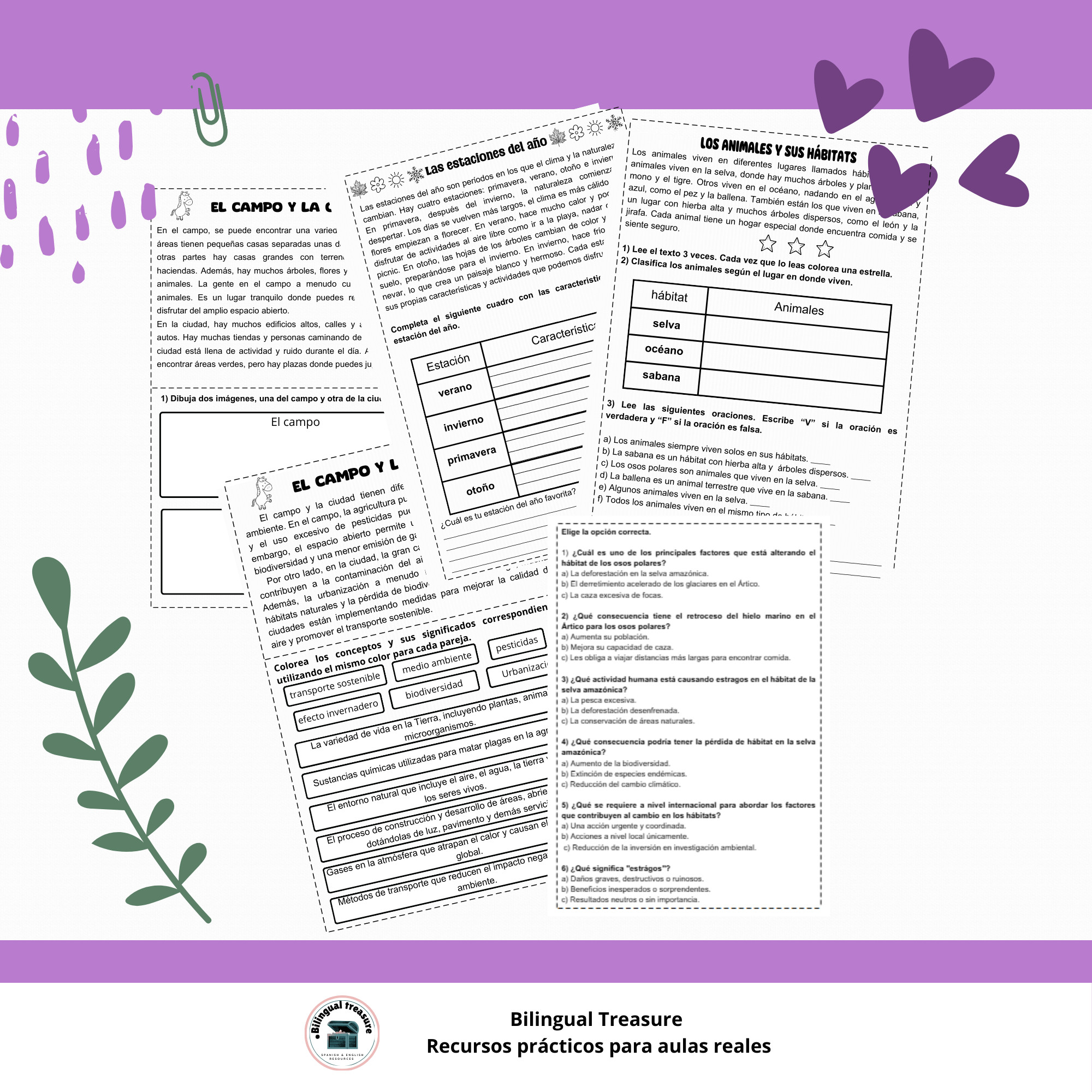 Comprensión Lectora: 10 Textos con Actividades para Trabajar Diferentes Niveles de Dificultad